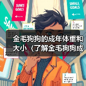 金毛狗狗的成年体重和大小（了解金毛狗狗成年后的体重、判断你家狗狗的体重是否正常）（图3）