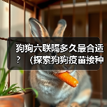狗狗六联隔多久最合适？（探索狗狗疫苗接种间隔的最佳时机）（图2）