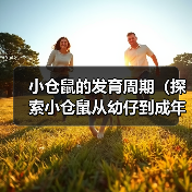 小仓鼠的发育周期（探索小仓鼠从幼仔到成年的成长之路）（图4）