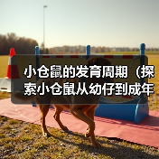 小仓鼠的发育周期（探索小仓鼠从幼仔到成年的成长之路）（图1）