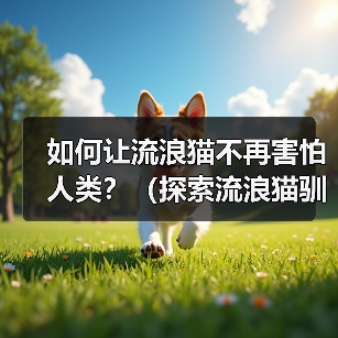 如何让流浪猫不再害怕人类？（探索流浪猫驯化的有效方法）（图4）
