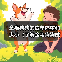 金毛狗狗的成年体重和大小（了解金毛狗狗成年后的体重、判断你家狗狗的体重是否正常）（图4）