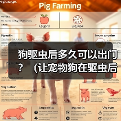 狗驱虫后多久可以出门？（让宠物狗在驱虫后安全出门的最佳时间点）（图1）