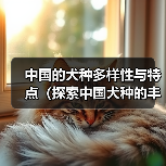 中国的犬种多样性与特点（探索中国犬种的丰富性及其对传统文化的贡献）（图3）