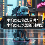 小狗伤口能洗澡吗？（小狗伤口洗澡的时间要掌握好）（图3）