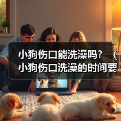 小狗伤口能洗澡吗？（小狗伤口洗澡的时间要掌握好）（图1）