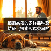 鹦鹉类鸟的多样品种及特征（探索鹦鹉类鸟的丰富多样性及特点）（图2）