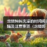 龙猫妈妈洗澡的时间间隔及注意事项（龙猫妈妈洗澡的频率、水温和洗澡方式）（图3）