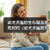 幼犬犬瘟的生存期及致死时间（幼犬犬瘟致死时间的关键因素及预防措施）（图1）
