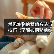 常见宠物的繁殖方法与技巧（了解如何繁殖你的爱宠——一份宠物繁殖指南）（图1）