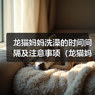 龙猫妈妈洗澡的时间间隔及注意事项（龙猫妈妈洗澡的频率、水温和洗澡方式）（图4）