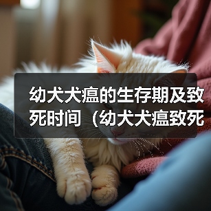 幼犬犬瘟的生存期及致死时间（幼犬犬瘟致死时间的关键因素及预防措施）（图2）