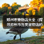 郑州市宠物店大全（探寻郑州市各类宠物店的选择与服务）（图4）