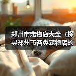 郑州市宠物店大全（探寻郑州市各类宠物店的选择与服务）（图3）