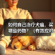 如何自己治疗犬瘟，买哪些药物？（有效应对犬瘟的药物购买指南）（图2）
