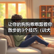 让你的狗狗乖乖跟着你散步的3个技巧（训犬师教你如何训练狗狗一起享受散步的乐趣）（图3）