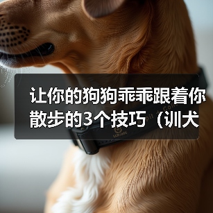 让你的狗狗乖乖跟着你散步的3个技巧（训犬师教你如何训练狗狗一起享受散步的乐趣）（图2）