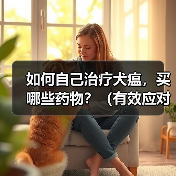 如何自己治疗犬瘟，买哪些药物？（有效应对犬瘟的药物购买指南）（图1）