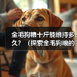 金毛狗粮十斤能维持多久？（探索金毛狗粮的消耗速度及合理喂养方法）（图4）