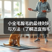 小金毛剪毛的最佳时间与方法（了解适宜剪毛的时机，让小金毛焕然一新）（图4）