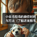 小金毛剪毛的最佳时间与方法（了解适宜剪毛的时机，让小金毛焕然一新）（图2）