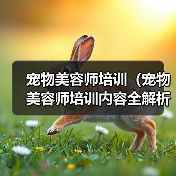 宠物美容师培训（宠物美容师培训内容全解析，助您成为行业专家）（图1）
