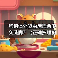 狗狗体外驱虫后适合多久洗脚？（正确护理狗狗足部，关注健康与幸福）（图1）