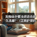狗狗体外驱虫后适合多久洗脚？（正确护理狗狗足部，关注健康与幸福）（图2）