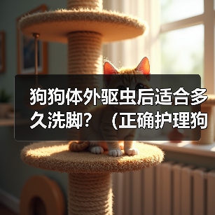 狗狗体外驱虫后适合多久洗脚？（正确护理狗狗足部，关注健康与幸福）（图3）