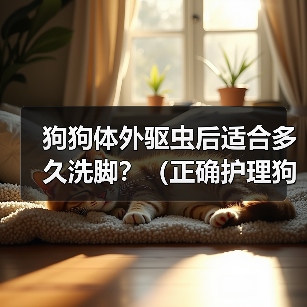 狗狗体外驱虫后适合多久洗脚？（正确护理狗狗足部，关注健康与幸福）（图4）