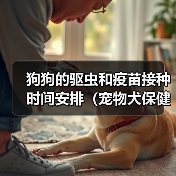 狗狗的驱虫和疫苗接种时间安排（宠物犬保健常识，你需要知道的关于驱虫和疫苗的信息）（图3）