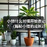 小猫什么时候开始走动？（揭秘小猫的成长过程与行为发展）（图3）