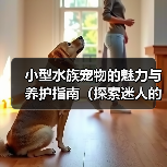 小型水族宠物的魅力与养护指南（探索迷人的小型水族宠物世界，让你的家变成一个水下乐园！）（图3）