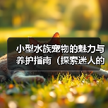 小型水族宠物的魅力与养护指南（探索迷人的小型水族宠物世界，让你的家变成一个水下乐园！）（图1）