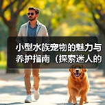 小型水族宠物的魅力与养护指南（探索迷人的小型水族宠物世界，让你的家变成一个水下乐园！）（图2）