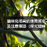 猫咪化毛膏的使用频率及注意事项（探究猫咪化毛膏的最佳用药频率，保护宠物健康）（图2）