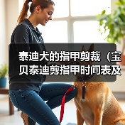 泰迪犬的指甲剪裁（宝贝泰迪剪指甲时间表及注意事项）（图1）