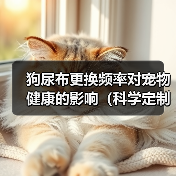 狗尿布更换频率对宠物健康的影响（科学定制，）（图3）