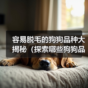 容易脱毛的狗狗品种大揭秘（探索哪些狗狗品种容易脱毛及如何有效应对）（图1）