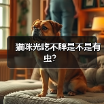 猫咪光吃不胖是不是有虫？（图1）