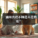 猫咪光吃不胖是不是有虫？（图2）