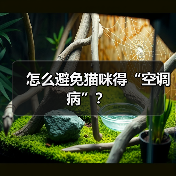 怎么避免猫咪得“空调病”？（图1）