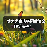 幼犬犬瘟热转阴后怎么预防抽搐？（图3）