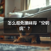 怎么避免猫咪得“空调病”？（图3）