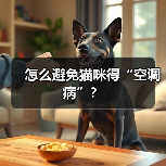 怎么避免猫咪得“空调病”？（图4）