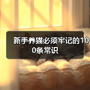 新手养猫必须牢记的100条常识（图4）