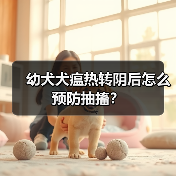 幼犬犬瘟热转阴后怎么预防抽搐？（图2）