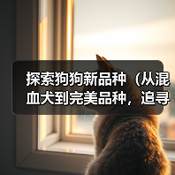 探索狗狗新品种（从混血犬到完美品种，追寻狗狗育种的前沿）（图1）