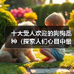 十大受人欢迎的狗狗品种（探索人们心目中最受喜爱的狗狗品种）（图3）