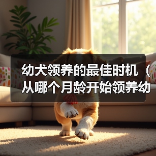 幼犬领养的最佳时机（从哪个月龄开始领养幼犬是最合适的？）（图1）